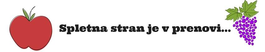 Spletna stran je v prenovi...